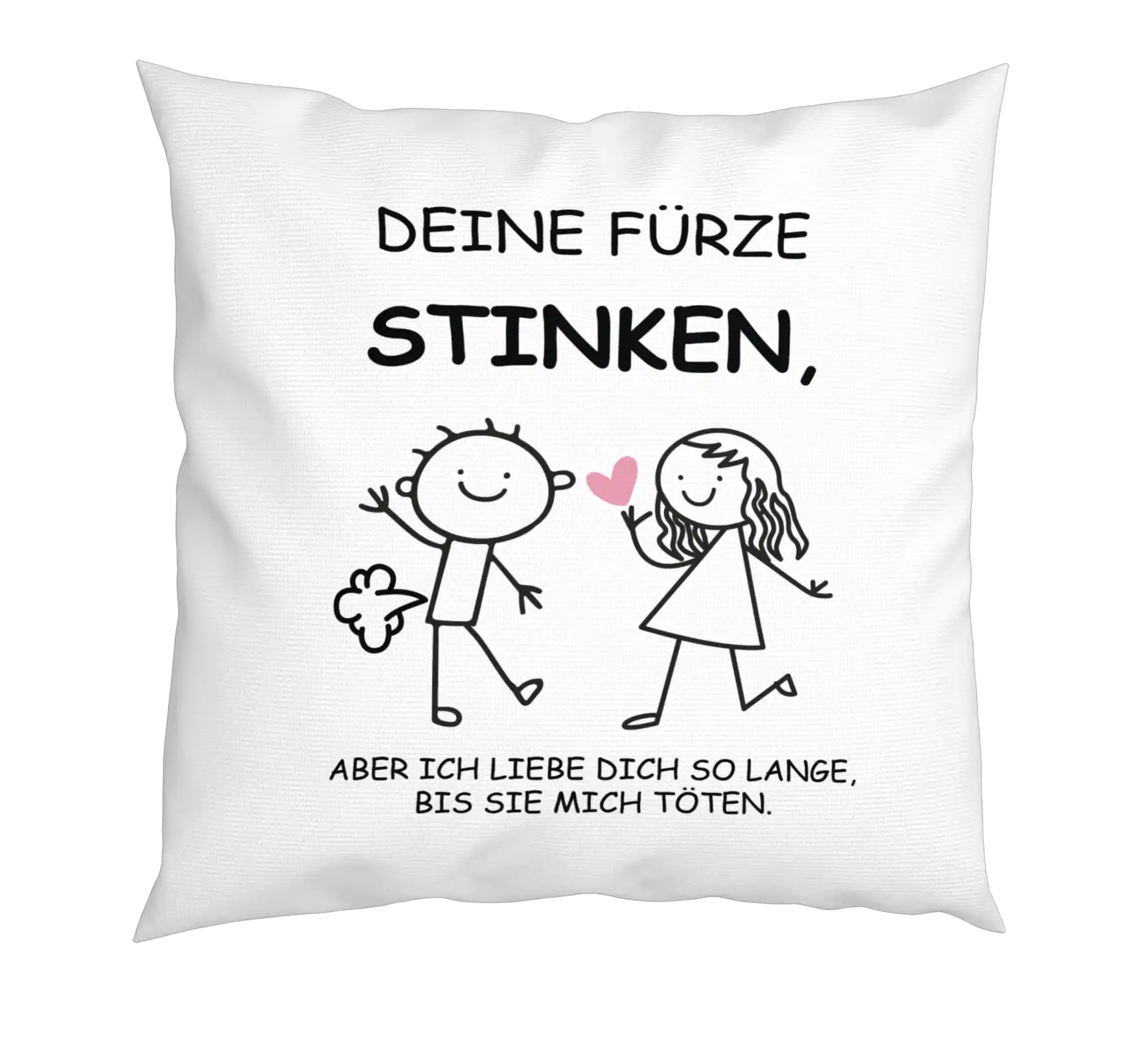 Kissen - Deine Fürze stinken