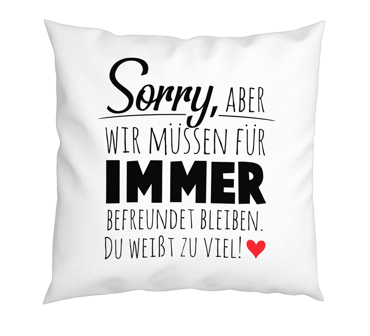 Kissen - Wir müssen für immer befreundet sein