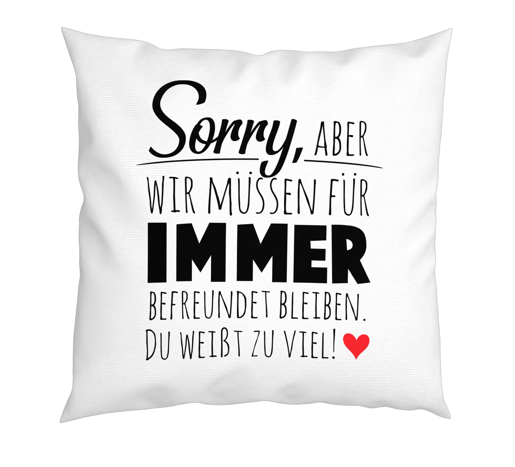 Kissen - Wir müssen für immer befreundet sein