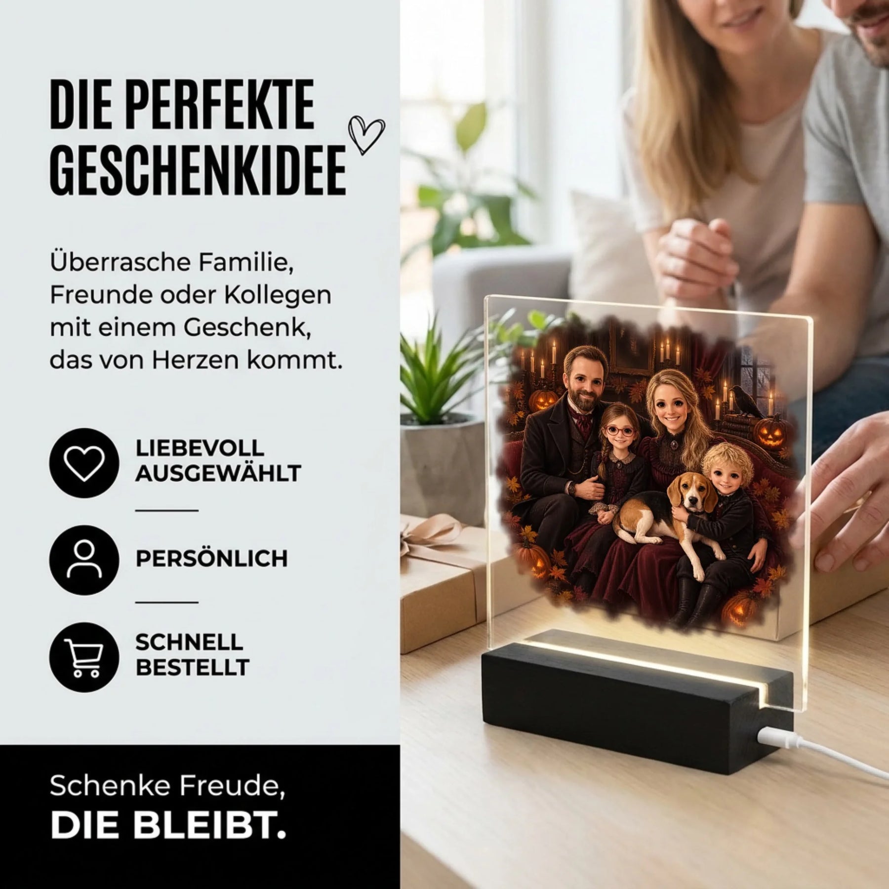 Bild6