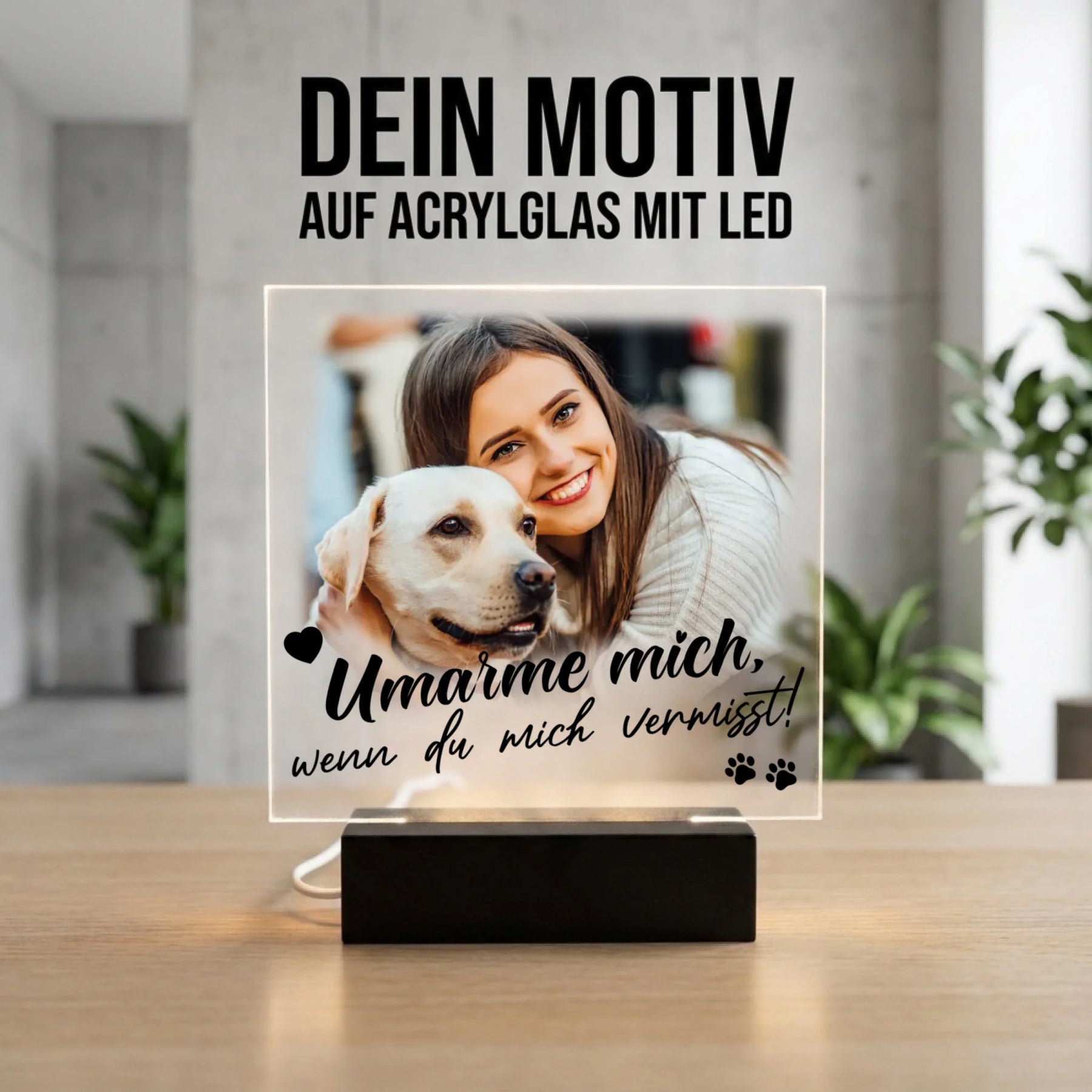Bild4