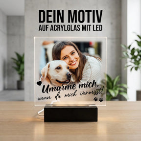 Bild4