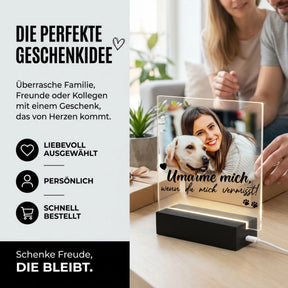 Bild6