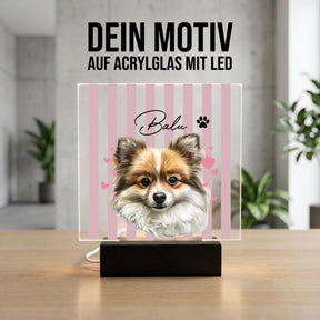 Bild4