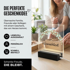 Bild6