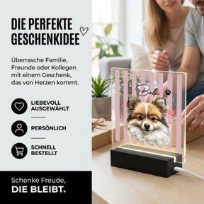 Bild6