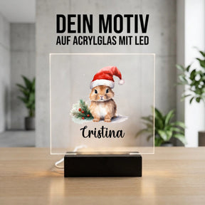 Bild4