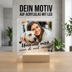 Bild4