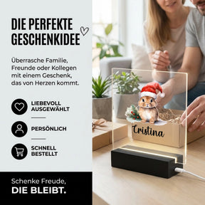 Bild6