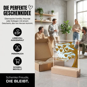 Bild6