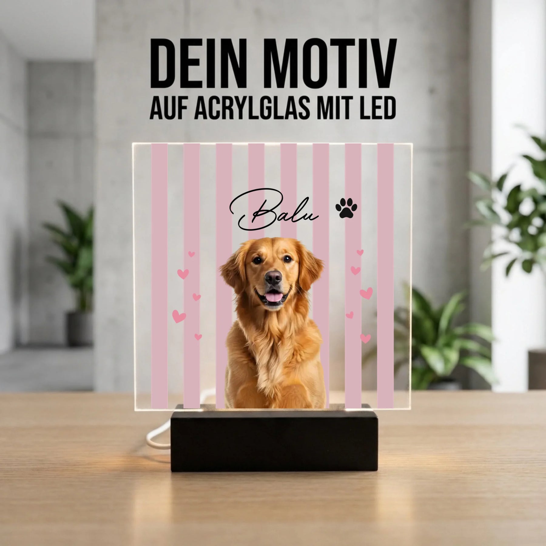 Bild4