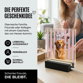 Bild6