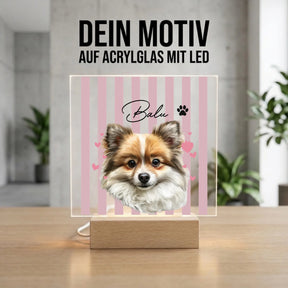 Bild4