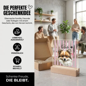 Bild6