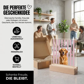 Bild6
