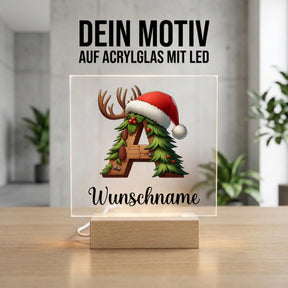 Bild4