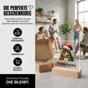 Bild6