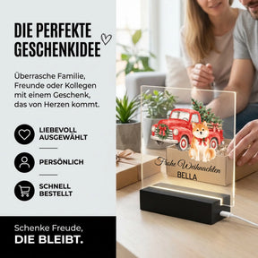 Bild6