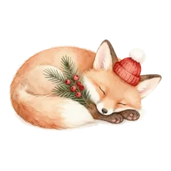 Motiv Fuchs